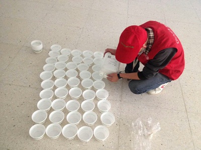 紅嶺小學甲醛治理 高潔雅助力良好就讀環(huán)境的創(chuàng)建，高潔雅深圳專業(yè)除甲醛公司、室內(nèi)空氣凈化治理公司。