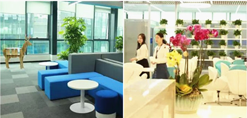 高潔雅為軟通動力空氣治理，健康清新潔凈空氣，高潔雅除甲醛做的到。